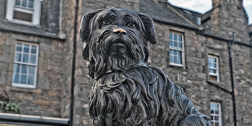 Picture of the Statue of Edinburgh's famous faithful fido
